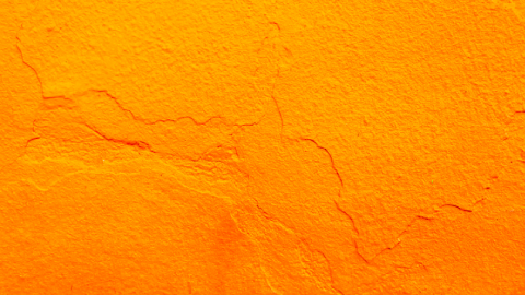 Color the World Orange Day