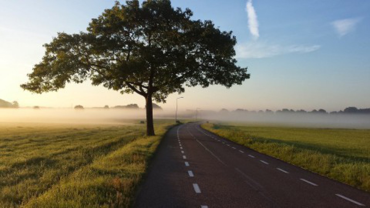 Campagne ‘Nederland plant bomen’ 