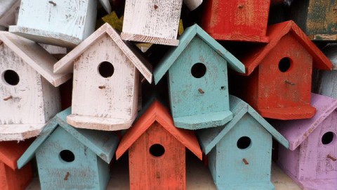 Eemnes belooft gratis vogelhuisjes bij nieuwjaarsreceptie