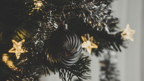 'Veel kerstbomen gekocht in regio 't Gooi'