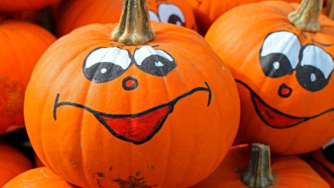 Boeren Halloween feest op Kinderboerderij 't Mouwtje in Bussum