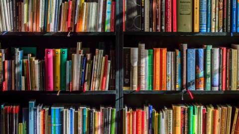 Ook in 2020 blijft de bibliotheekpas gratis voor kinderen in Laren