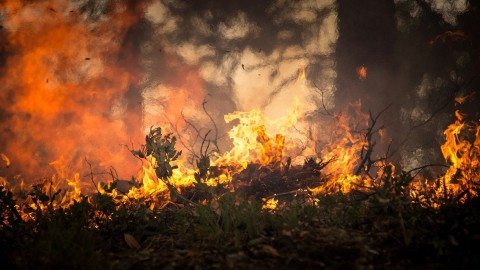 Hulpdiensten extra alert op natuurbrand