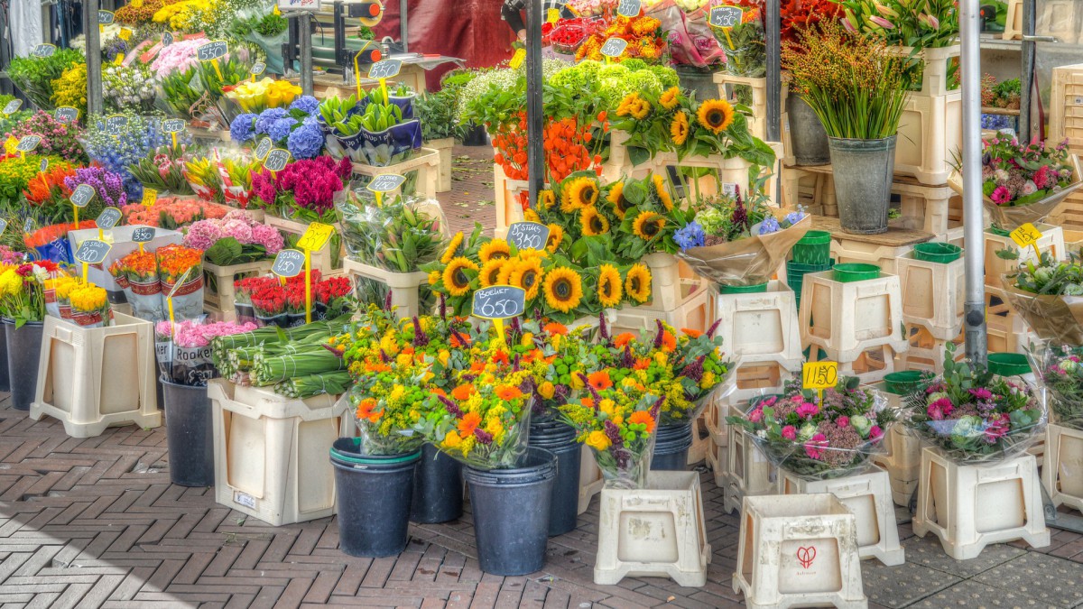 Bloemen en planten terug op wekelijkse markt in Weesp